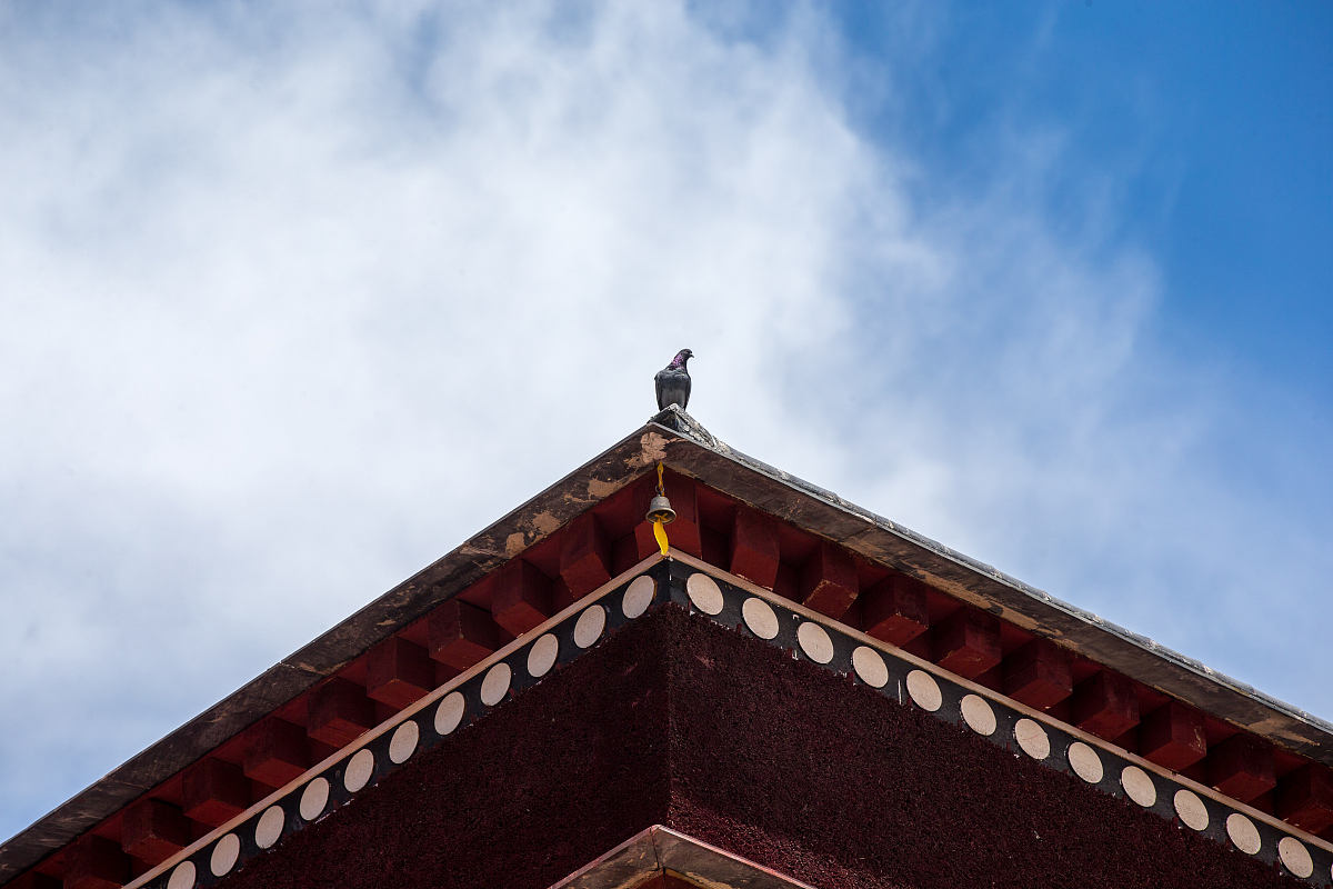 兰州旅游职业学校地址 - 报考指南