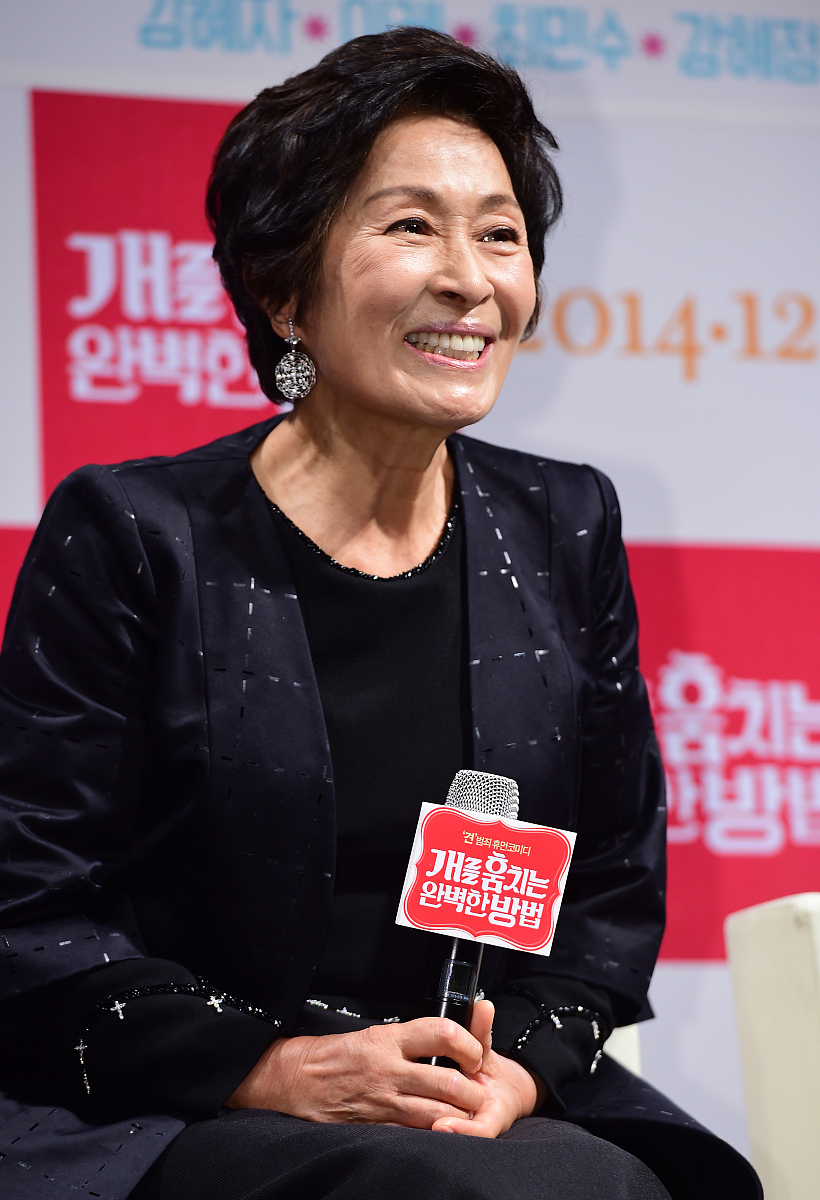 2014年11月26日,首尔,电影《偷狗的完美方法》召开发布会.***_***金慧