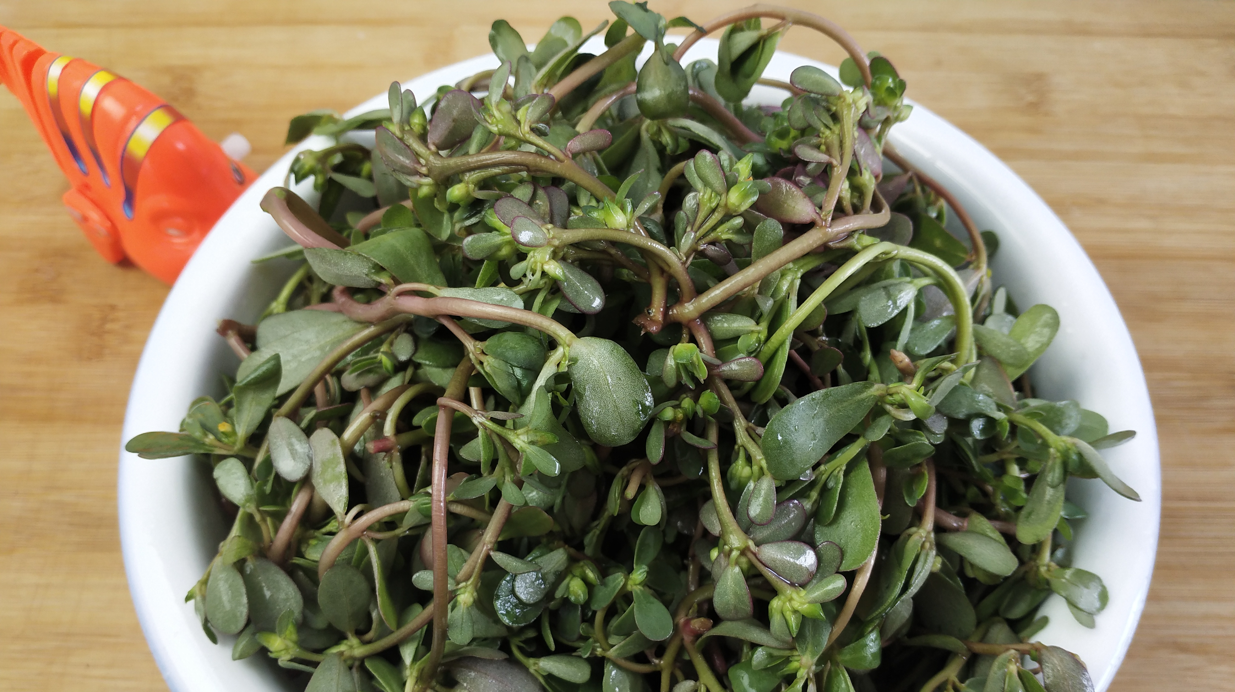 农村姑娘分享马齿菜最家常的吃法,简单易学营养高,越吃越香!