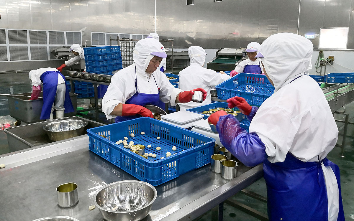 农畜特产品加工专科就业前景分析：如何提升竞争力？