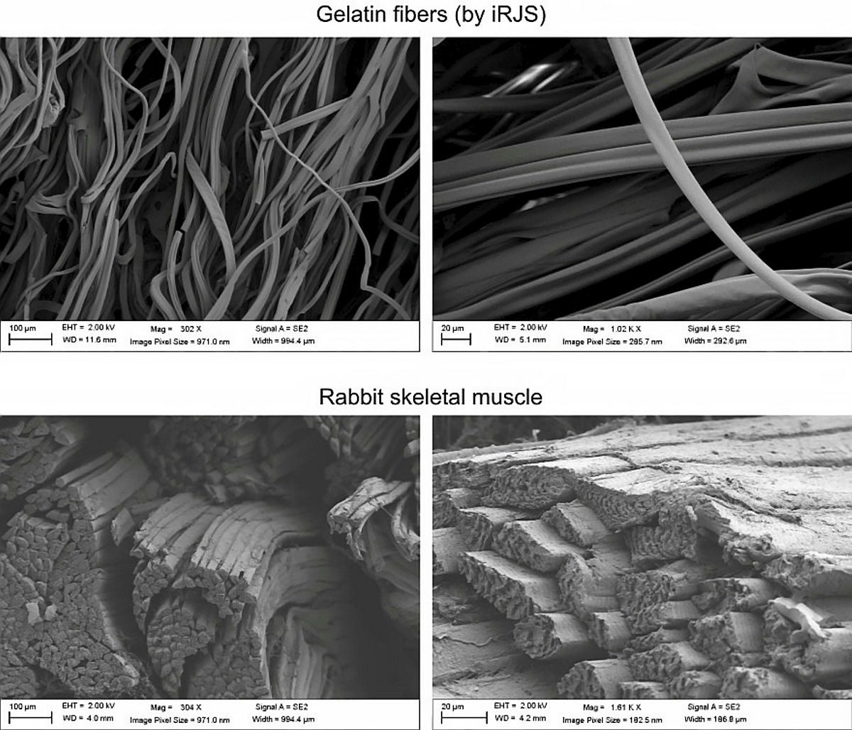 Zn Anode Structural Evolution in Aqueous and DES Electrolytes: A Comparative SEM and AFM Study