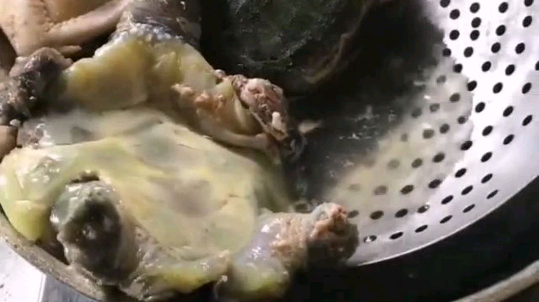 甲鱼鸽子汤的做法