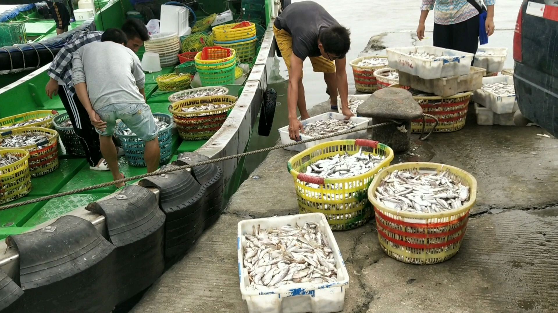 湛江东南码头,这条船装满满一船鱼上岸,被收购商拿去晒鱼干