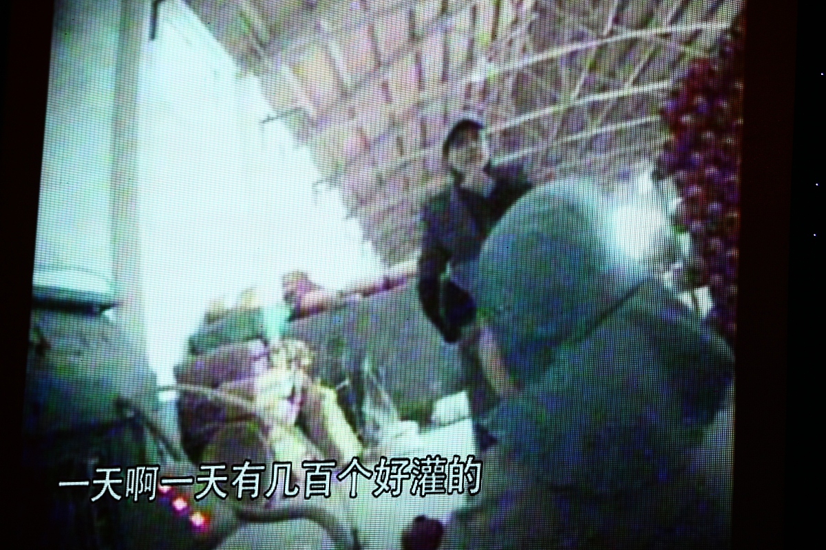 投诉表扬的扣罚实施办法