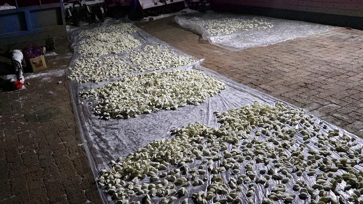 东北包冻饺子现场，1家包90斤面，到外面就冻，屋里屋外差距真大