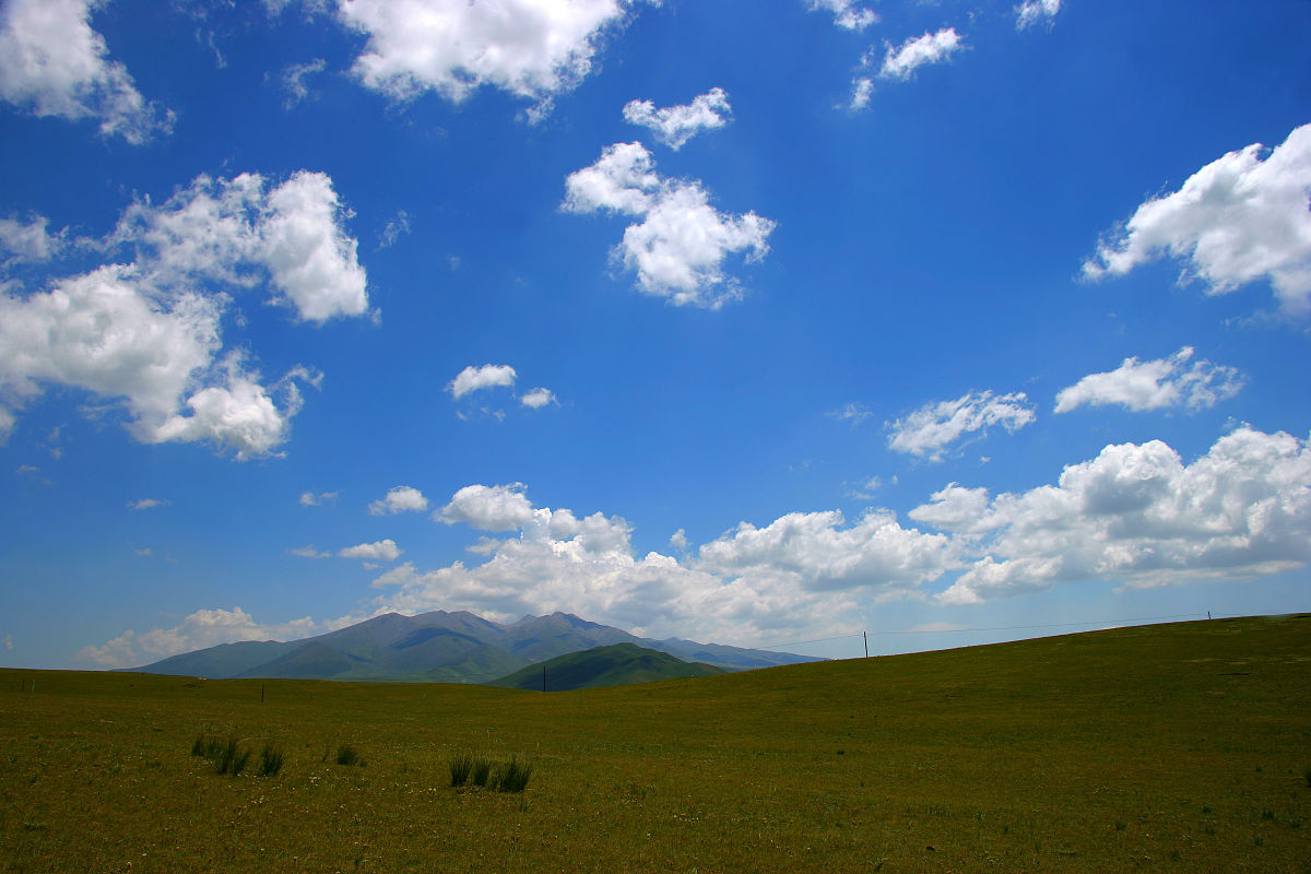多元回归模型在Matlab中的作用 - 预测、解释和控制 | Matlab教程