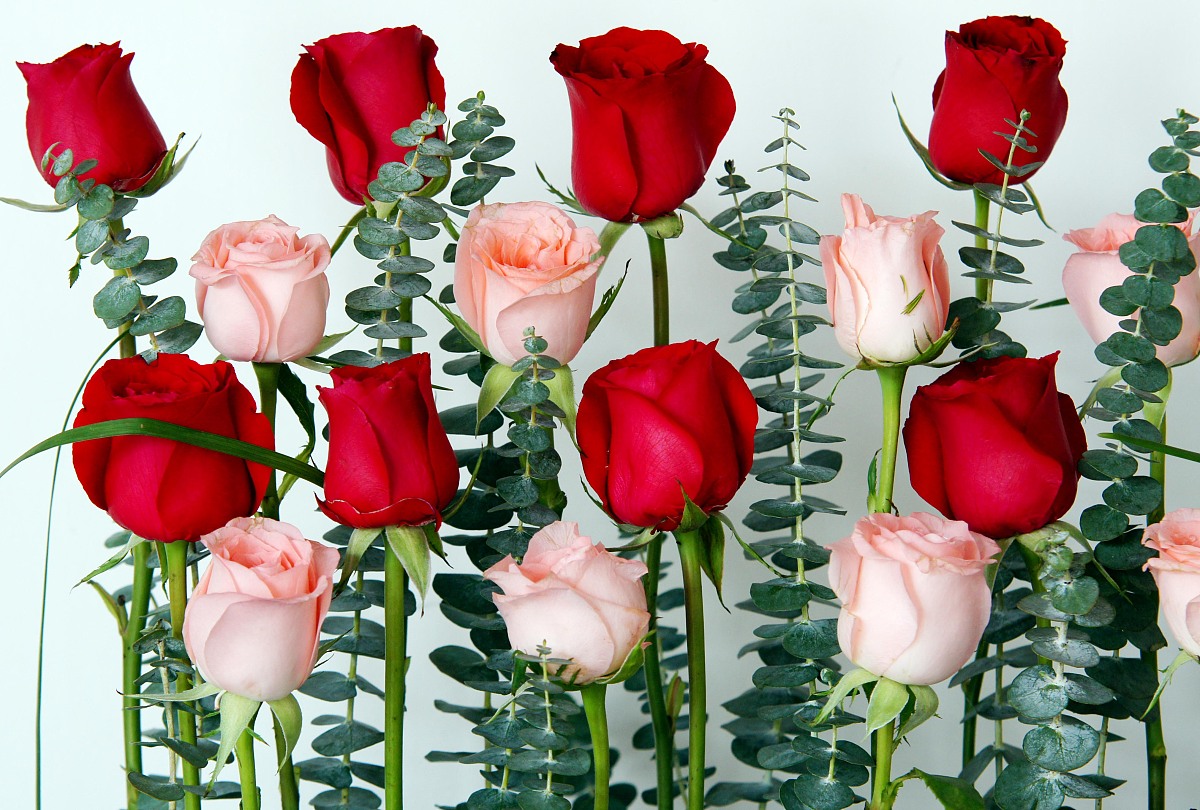 郑州艺术幼儿师范学校2023年有那些专业