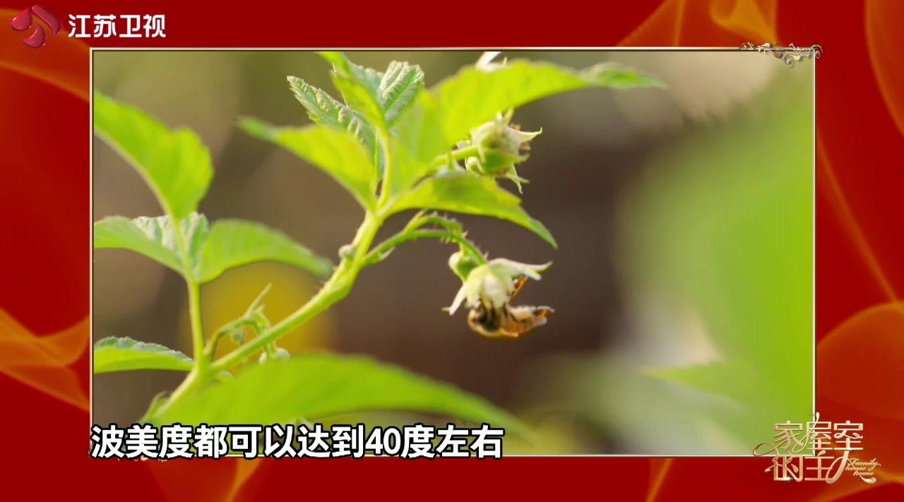 蜂蜜好不好,“波美度”很重要