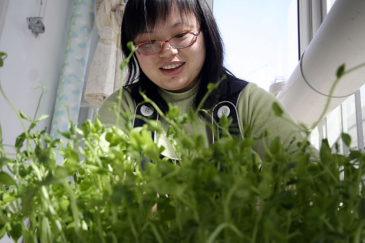 每亩55个坑也就是55株为了保险每个抗里种3株需要多少斤种子每亩