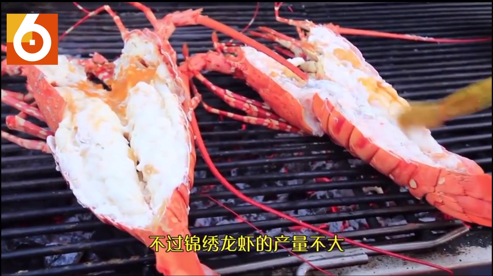 泰国锦绣大龙虾,先蒸再烤,吃起来那是真的过瘾呀