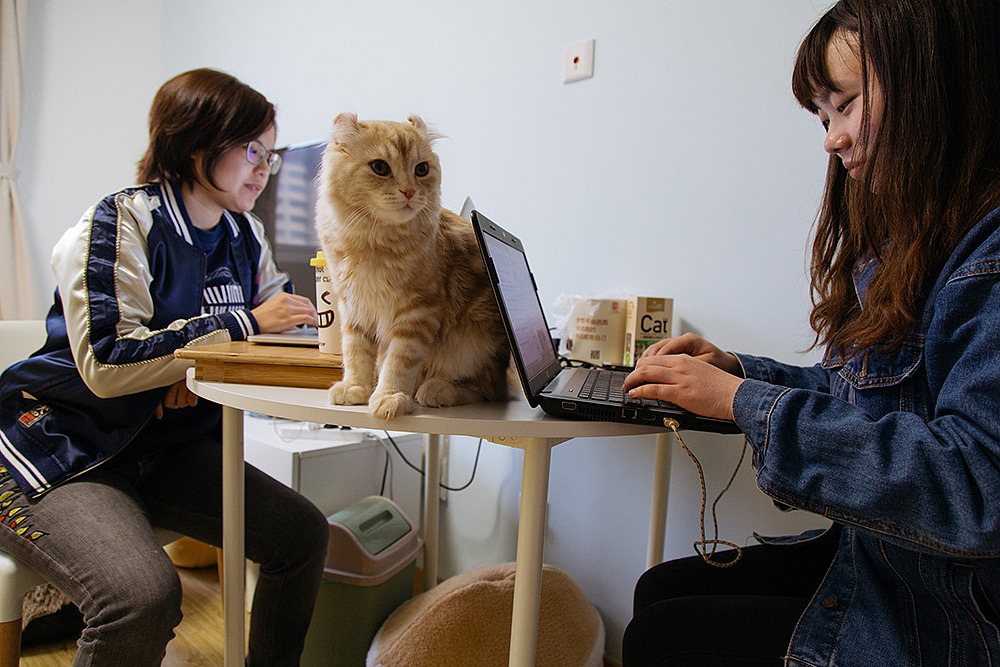 豪杰成长计划手游更新：全新英雄、副本及优化来袭！