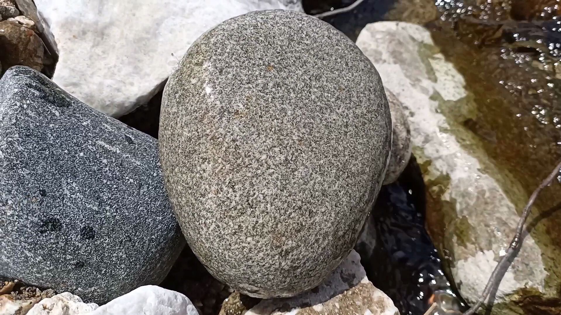 捡石头发现好看的鹅卵石,石友们看看这算不算奇石?