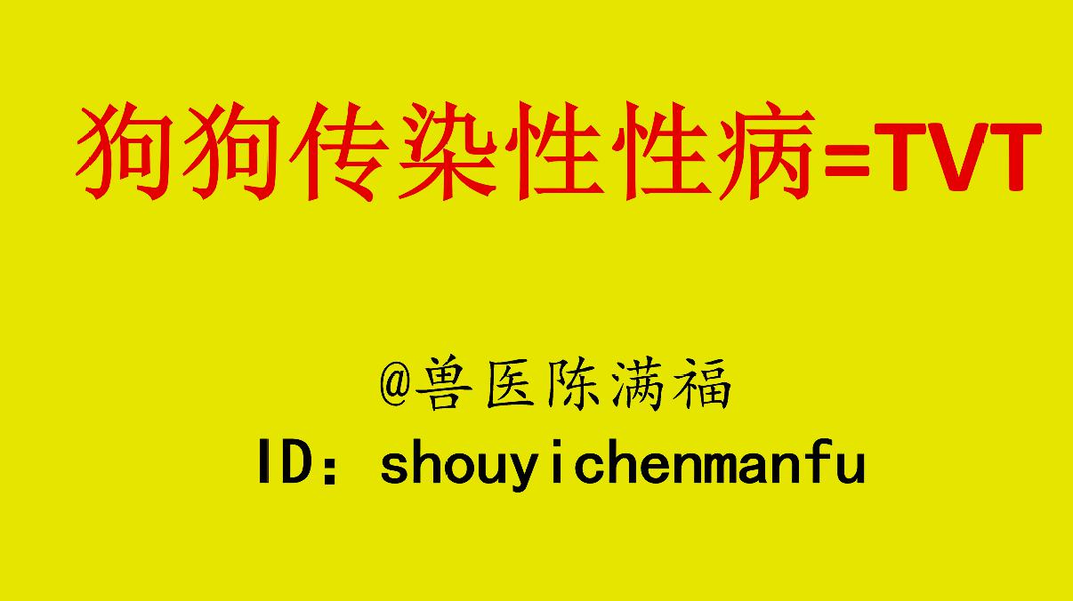 [图]兽医陈满福讲述狗狗传染性性病,以及治疗方法!预防很简单!