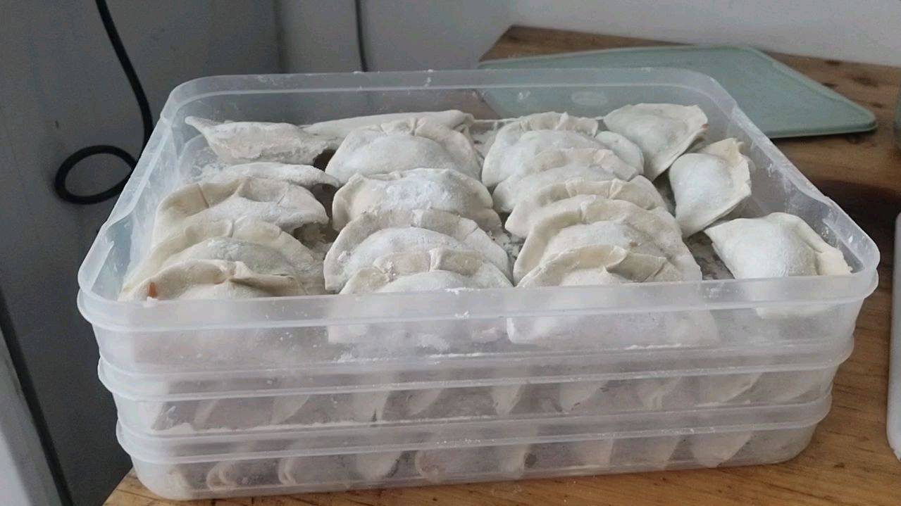 刚刚才包好的饺子