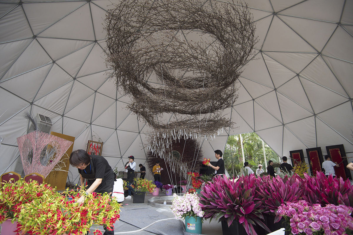 2019年3月20日,粤港澳大湾区2019深圳花展即将启幕,深圳仙湖植物园变