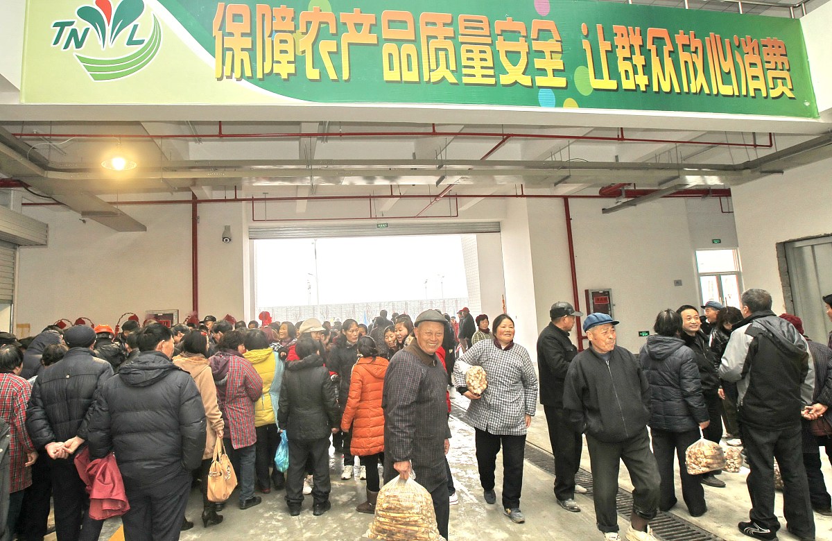 轴流式透平和径流式透平哪一种的成本更低？
