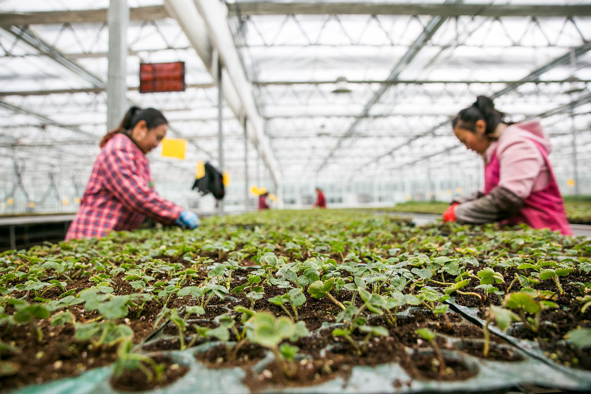 2022年毕节农业学校农业综合技术专业招生