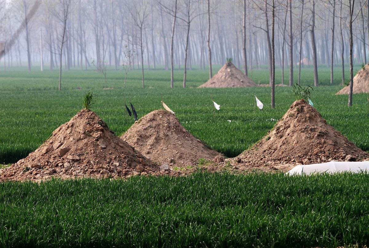 现代殡葬行业服务的问题