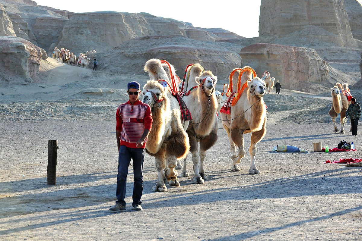 和田历史文化：丝绸之路上的珍珠，五星出东方利中国
