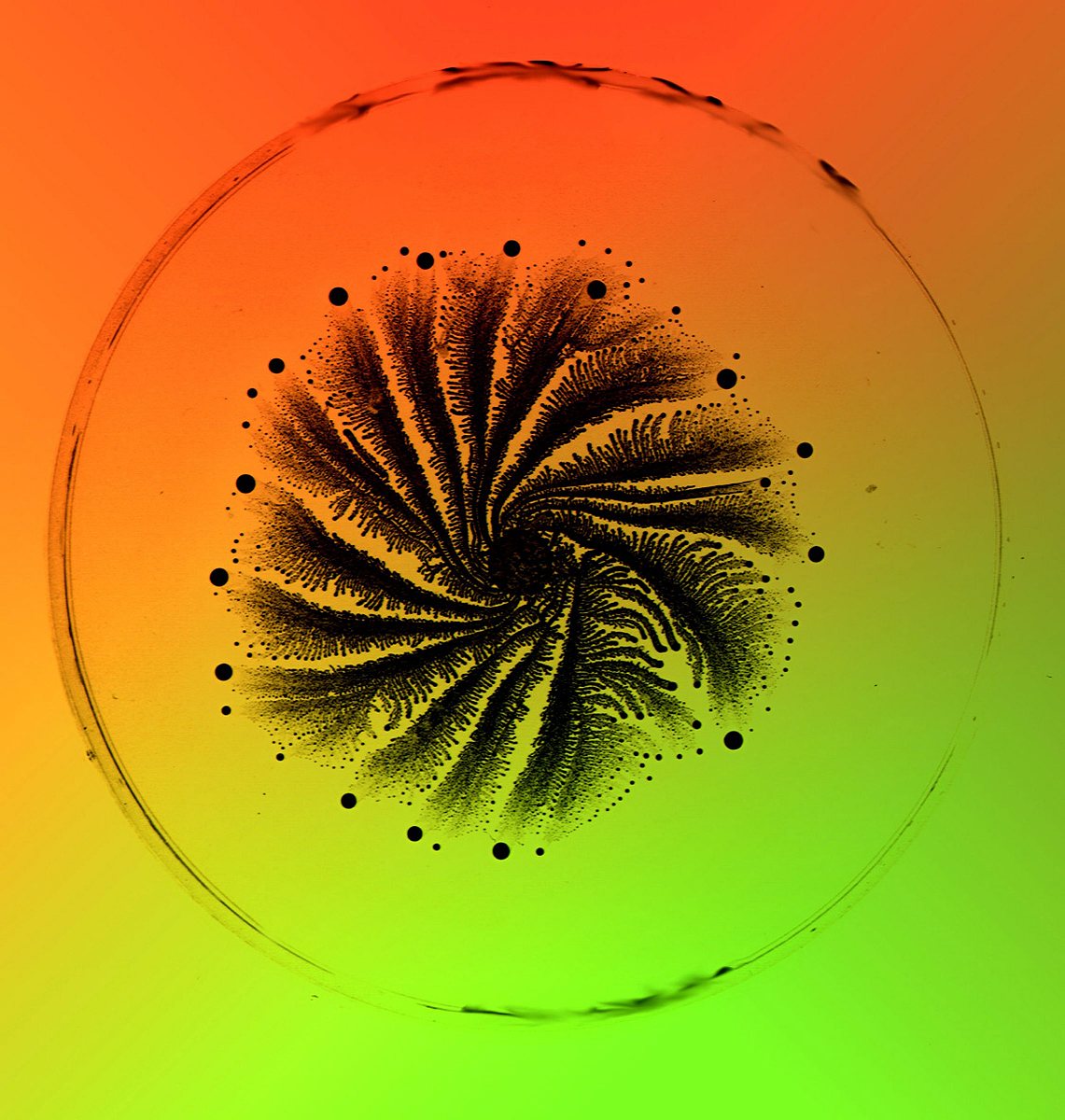 MICROBIOLOGY AND MOLECULAR BIOLOGY REVIEWS期刊推荐理由？