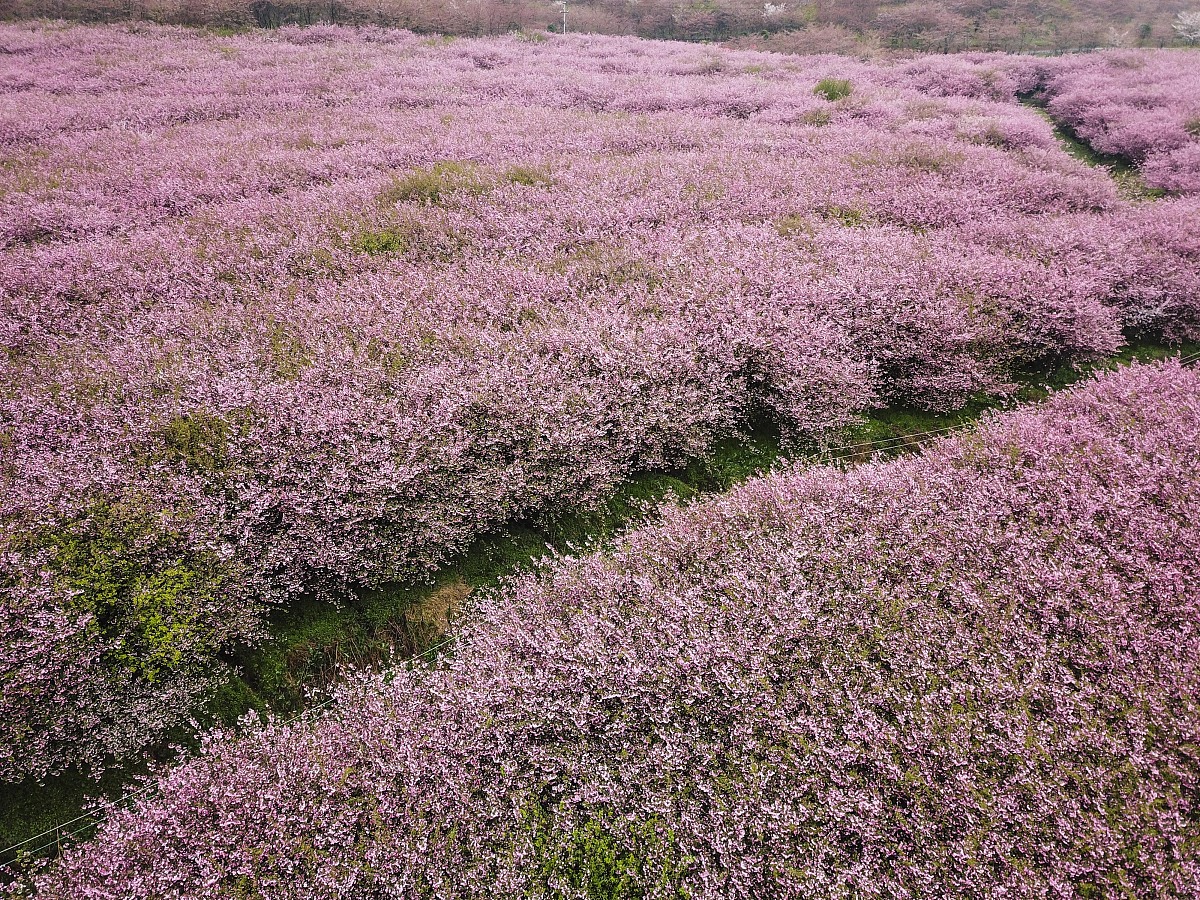 情侣网名生成器：大气简约好记的3字网名推荐