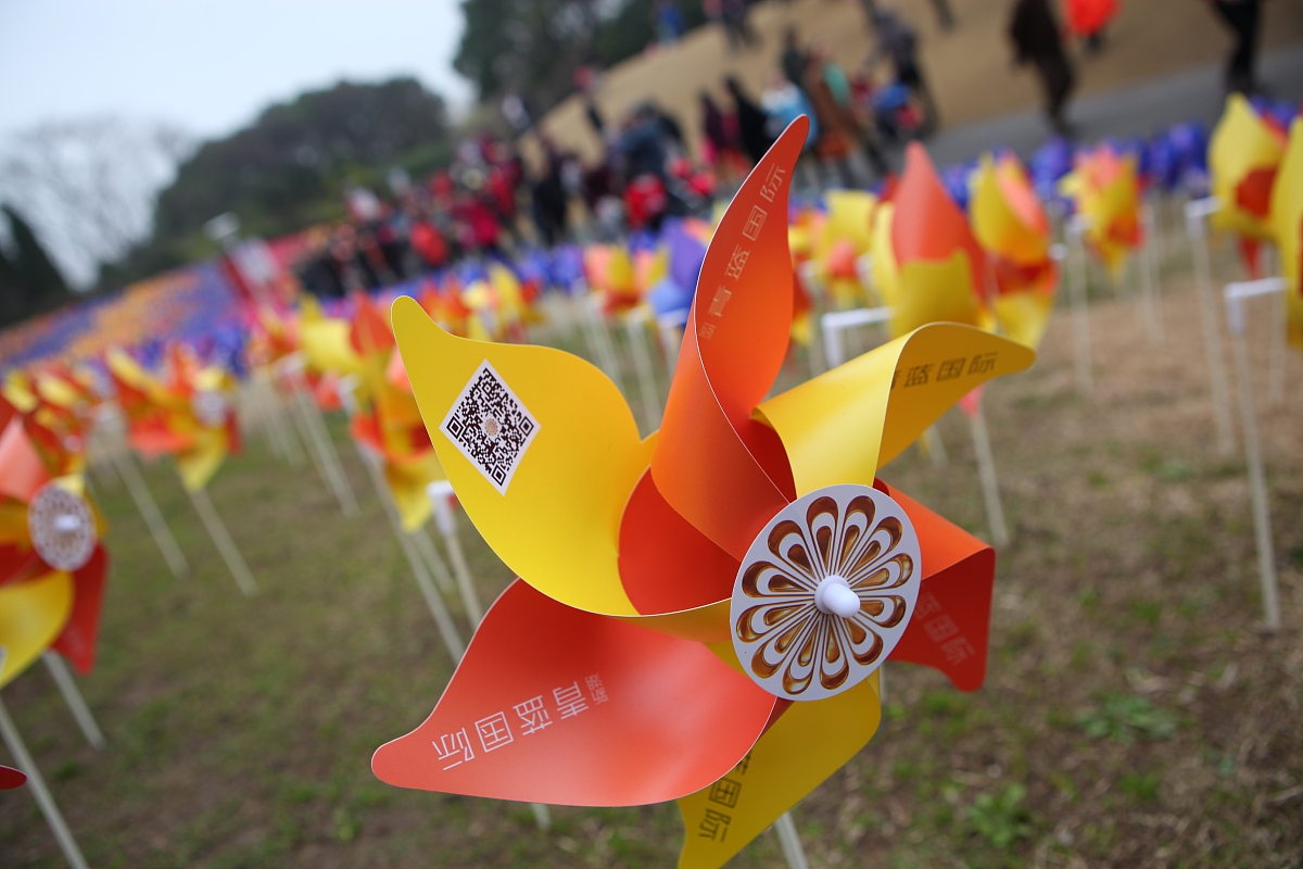 2015年3月15日,上海,为了配合郁金香花展,主办方在公园里一个小山坡上