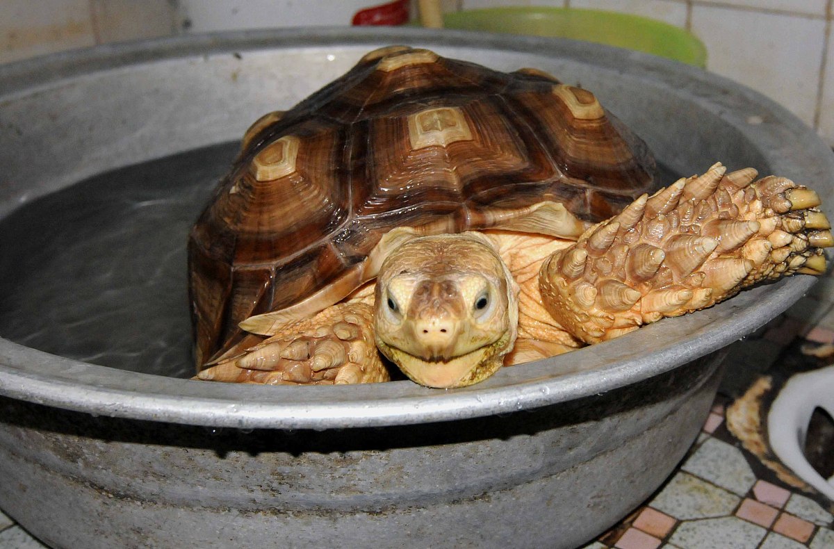 广西工业职业技术学院物流管理专业怎么样