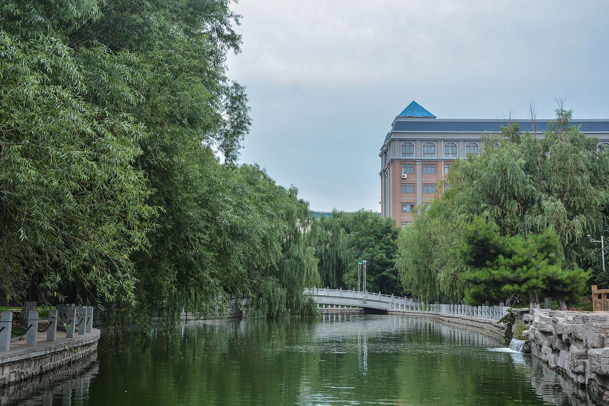 渤海大学地址在哪里