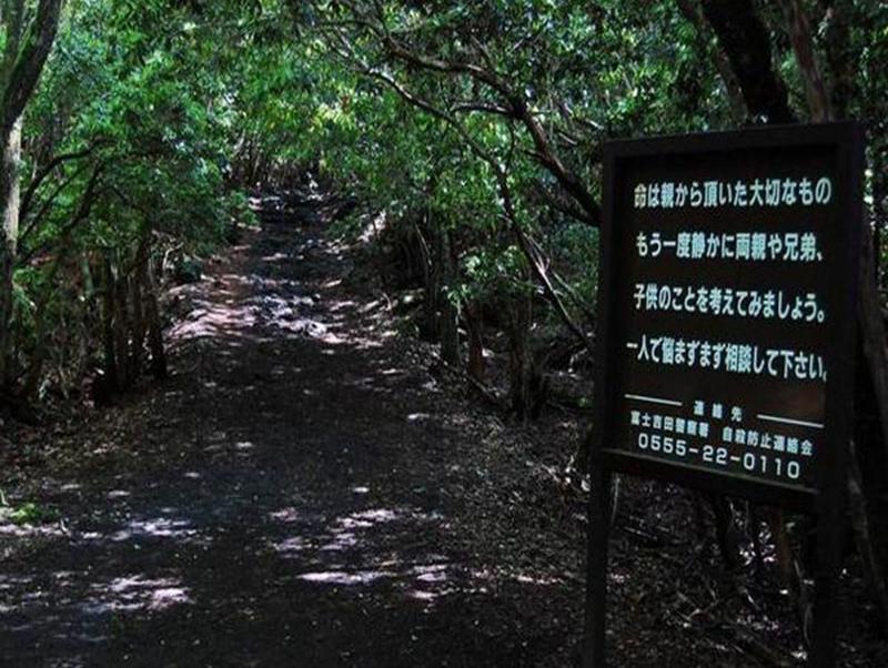 [图]一分钟带你游遍日本自杀森林