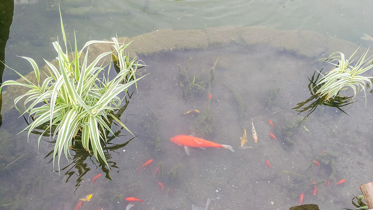 我需要去装修一个精装的房子预算20万一家六口人可以帮我列一个费用计划清单吗