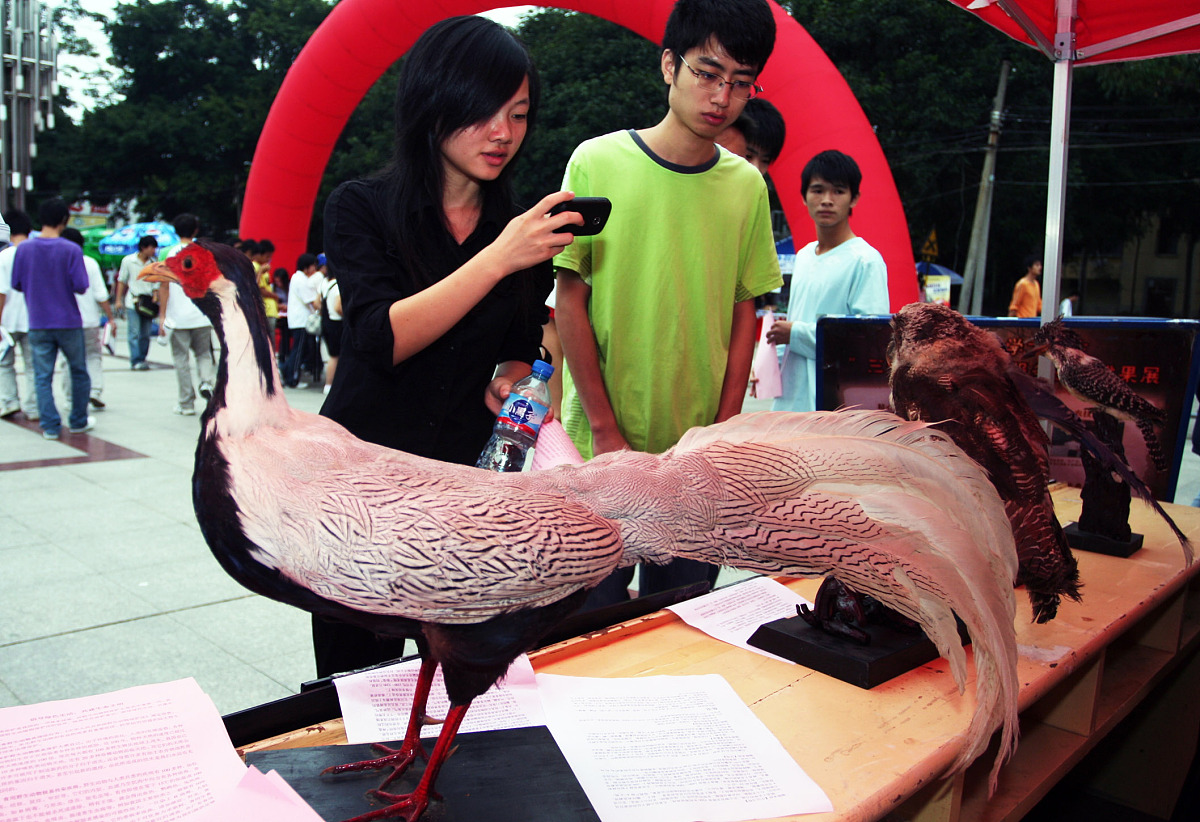 福建农林大学金山学院产品设计专业怎么样