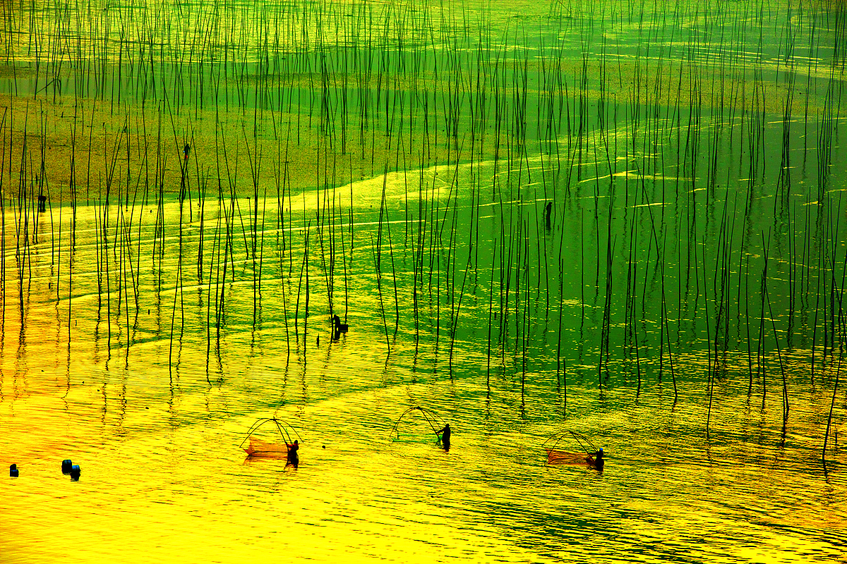 宁德男生初中读什么专业好？2023年专业选择指南