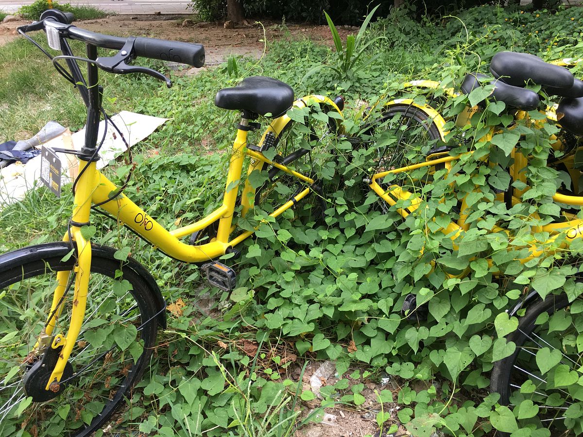 甘南畜牧学校怎么样 学校风气好不好