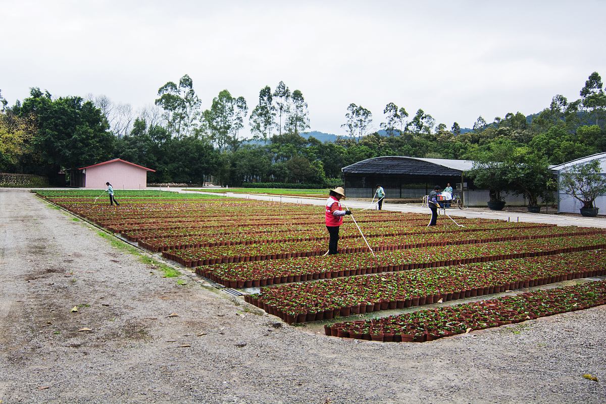 临沧市农业学校休闲农业生产与经营专业就业前景分析