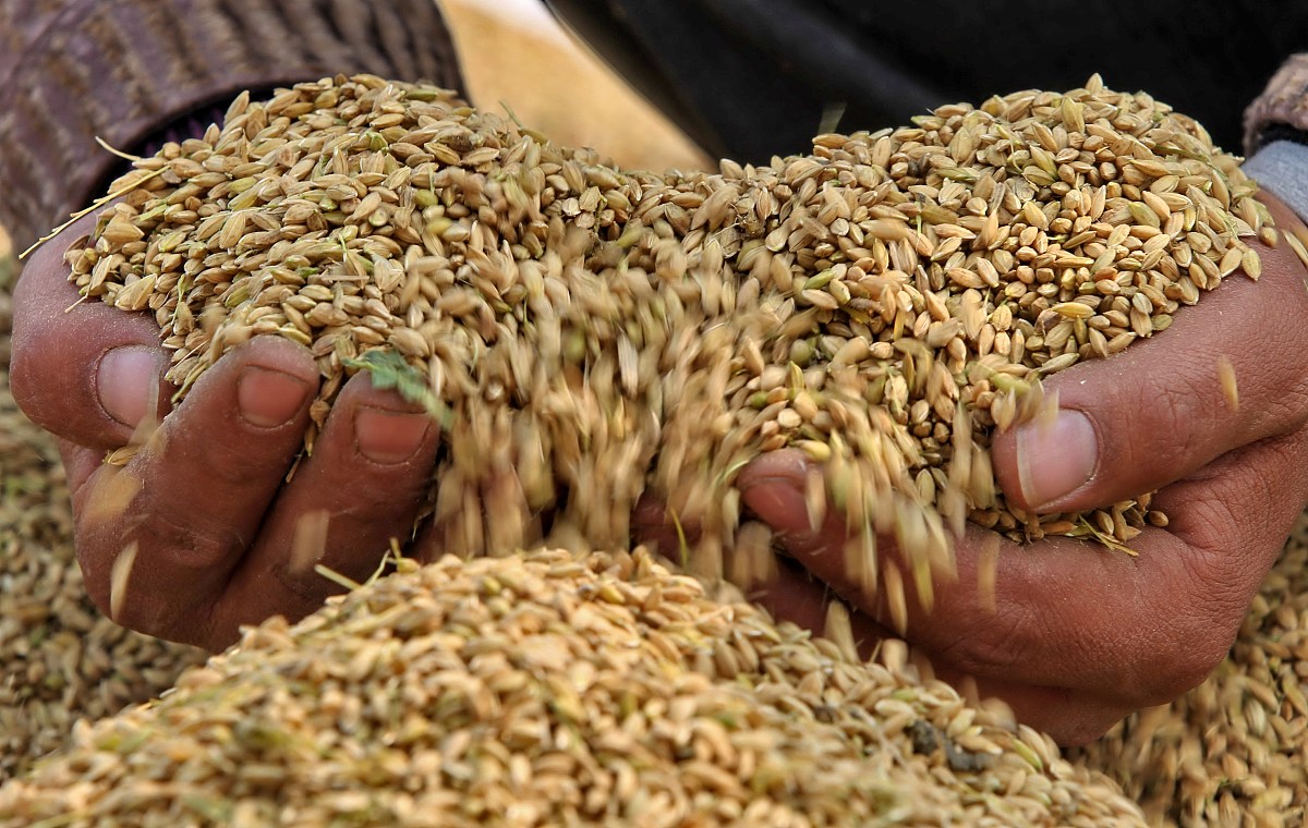 甘肃农业大学生物工程专业怎么样？优势分析及未来发展前景