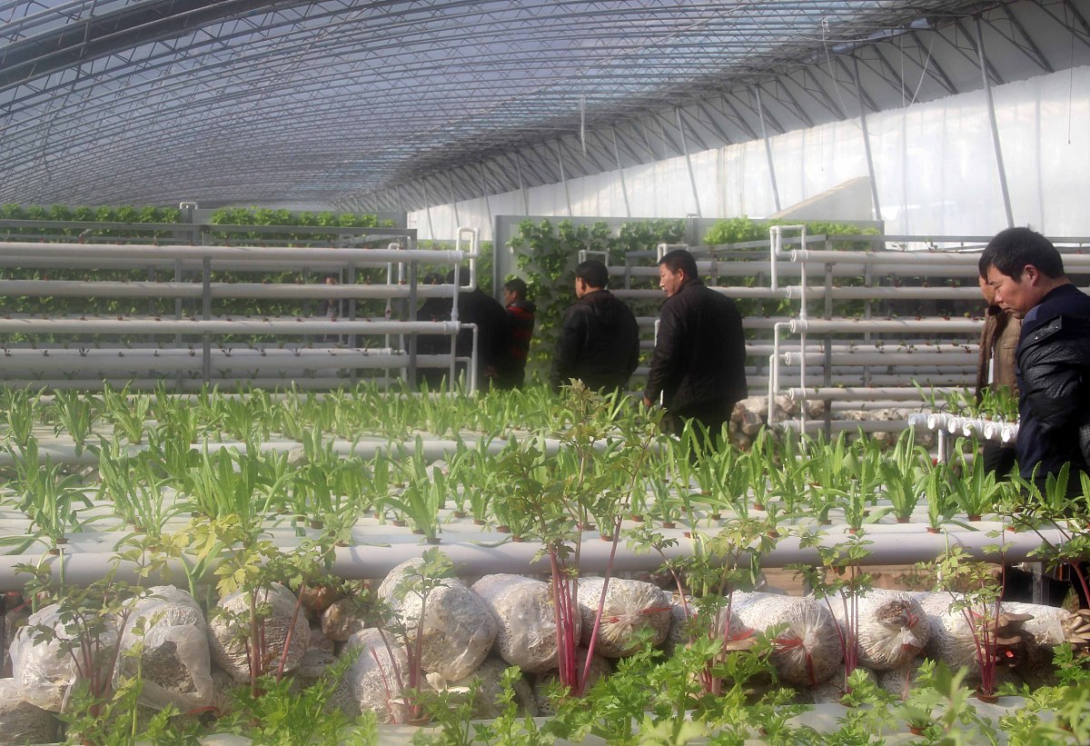 邻水县合流职业技术学校设施农业生产技术专业好不好发展前景怎样