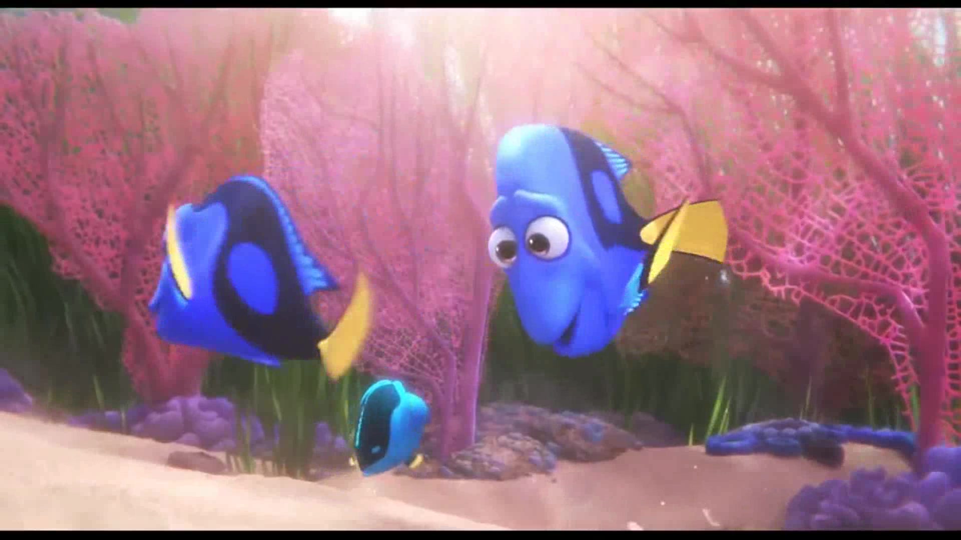 海底总动员:可爱的小鱼