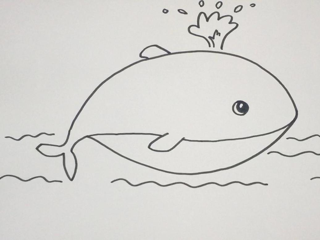 简笔画鲸鱼 简单好学