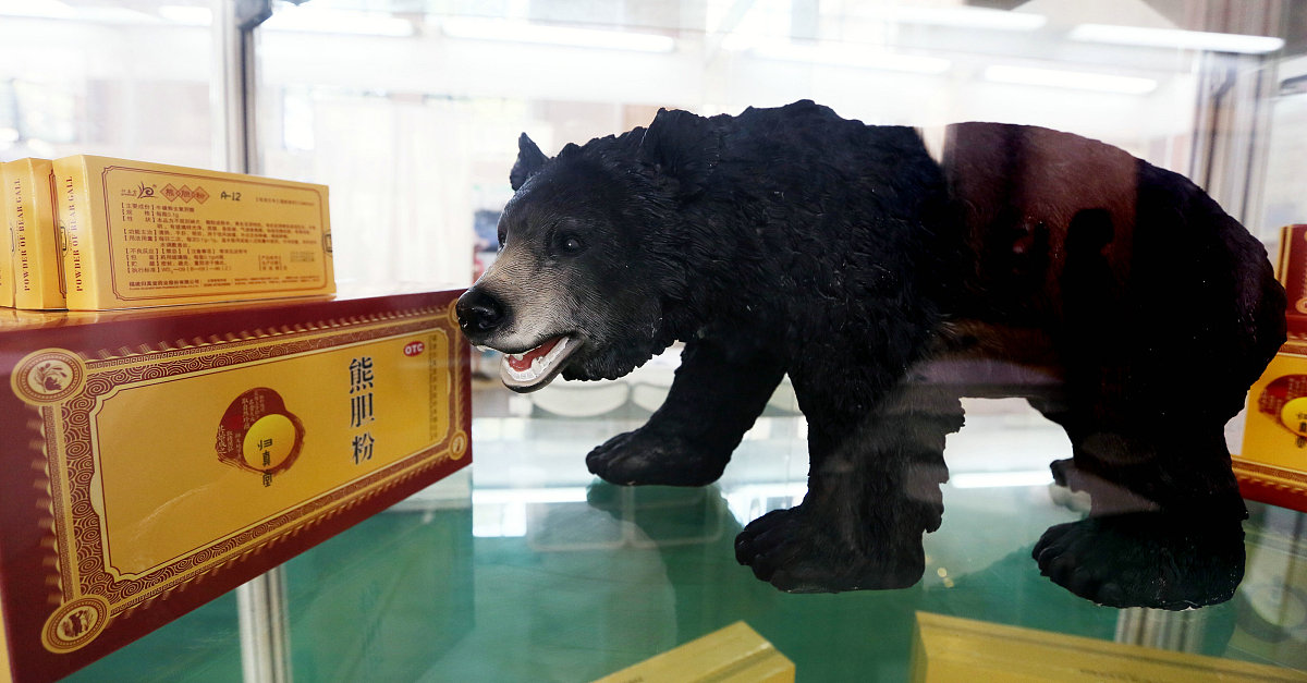 熊胆粉等级划分及颜色区别 - 详解熊胆粉品质鉴别