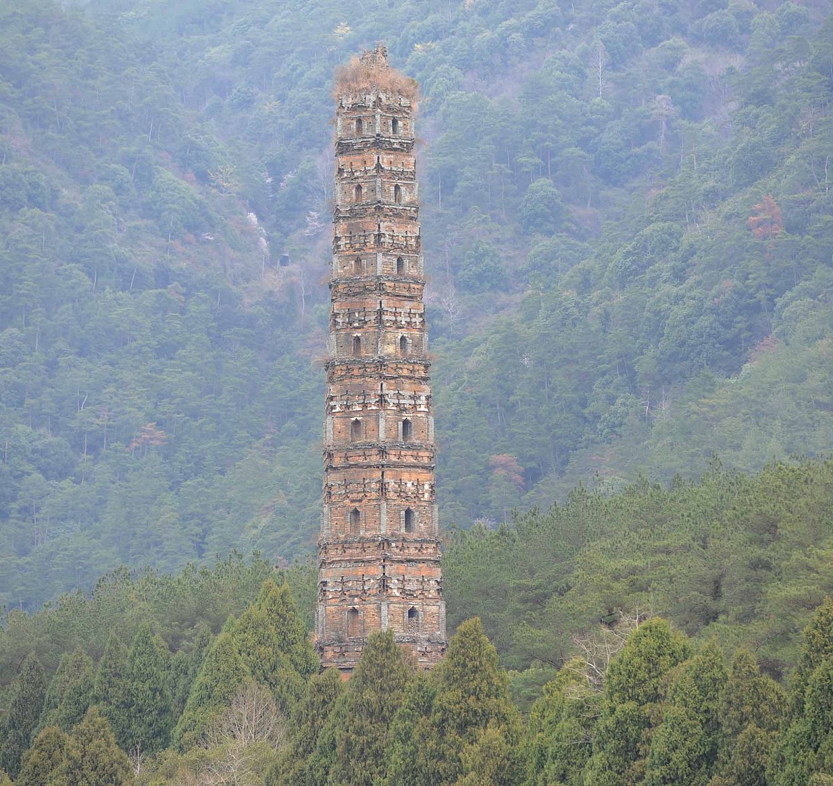 台州拖欠工资怎么办？投诉电话、平台及维权指南