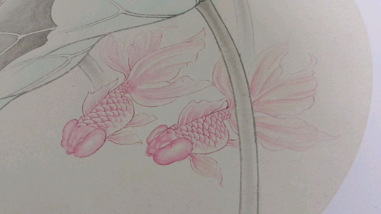工笔画《荷花金鱼》分染教程