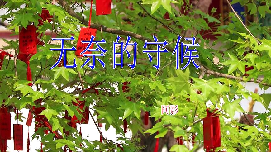 [图]网络伤感情歌《无奈的守候》明知没结果,却还要苦苦等待!好听～