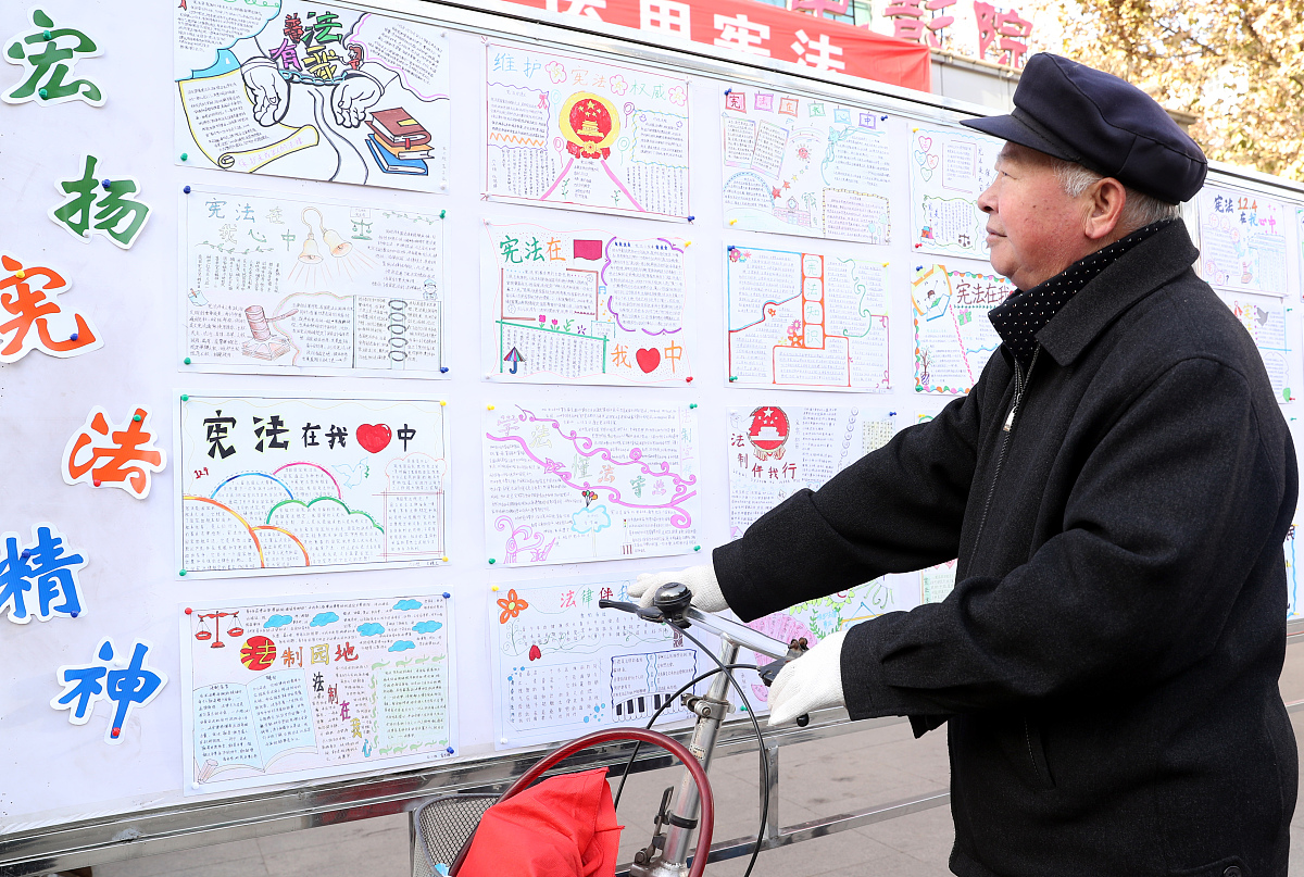 法治教育实践案例征集：打造创新普适示范，引领青少年法治教育新风尚