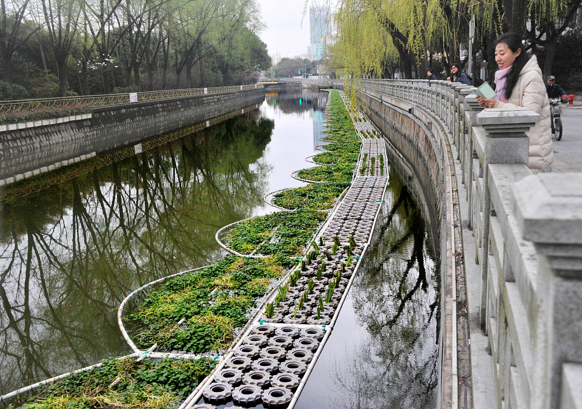香菇掉厕所了还能叫香菇吗？