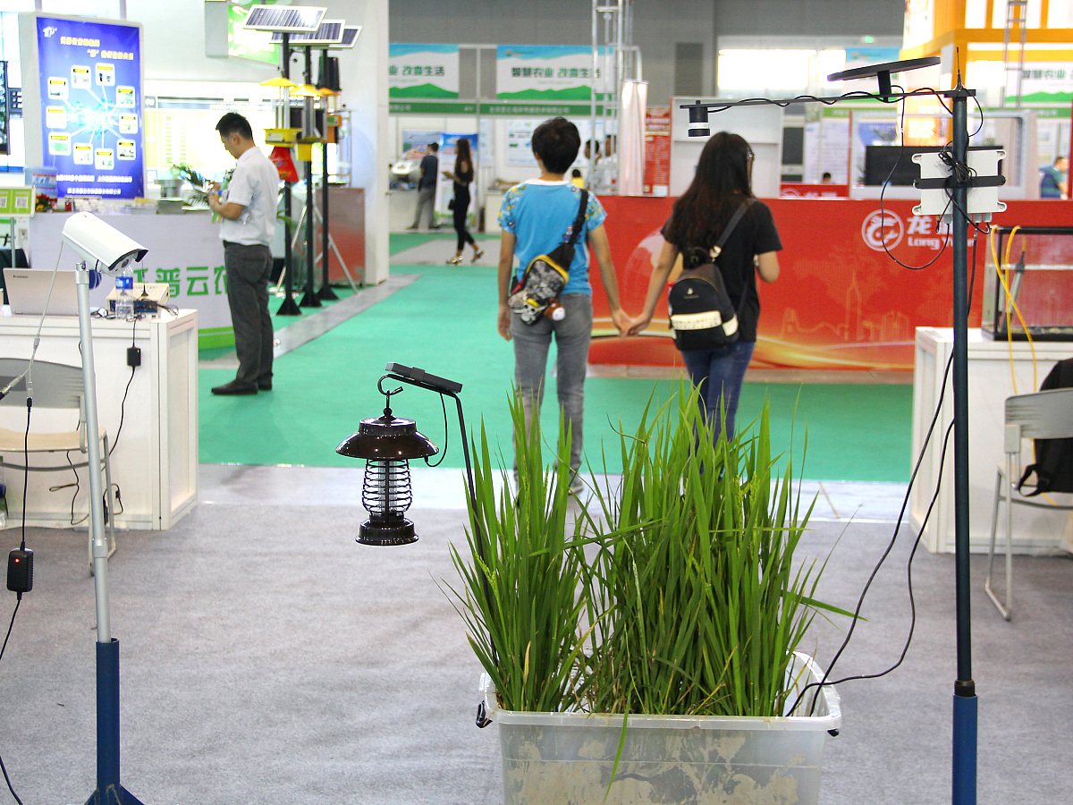 自动照片采集查询工具 - 轻松完成考试照片信息采集