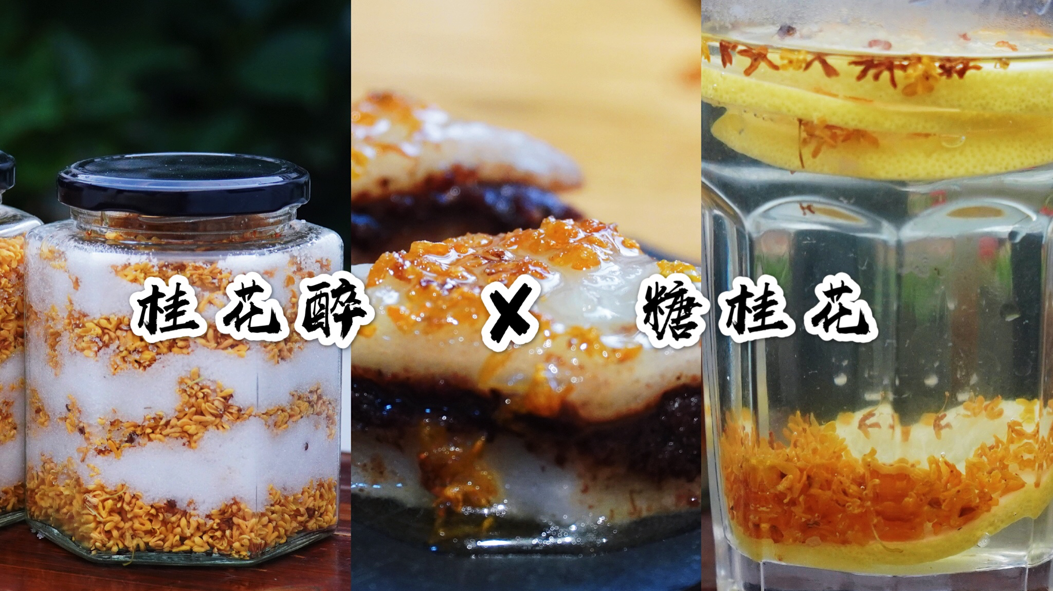 桂花酒酿做法,香气袭人,值得收藏