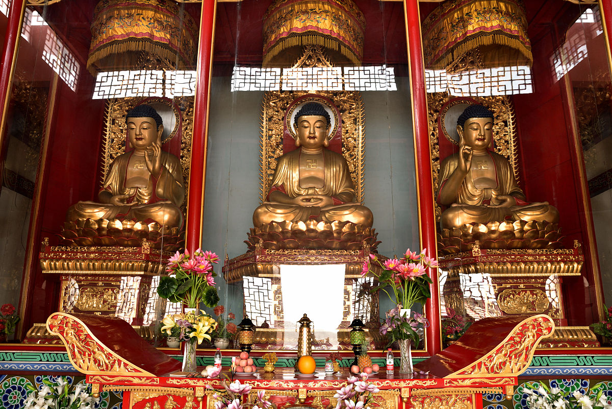 救人一命胜造七级浮屠：生命的价值与人道主义