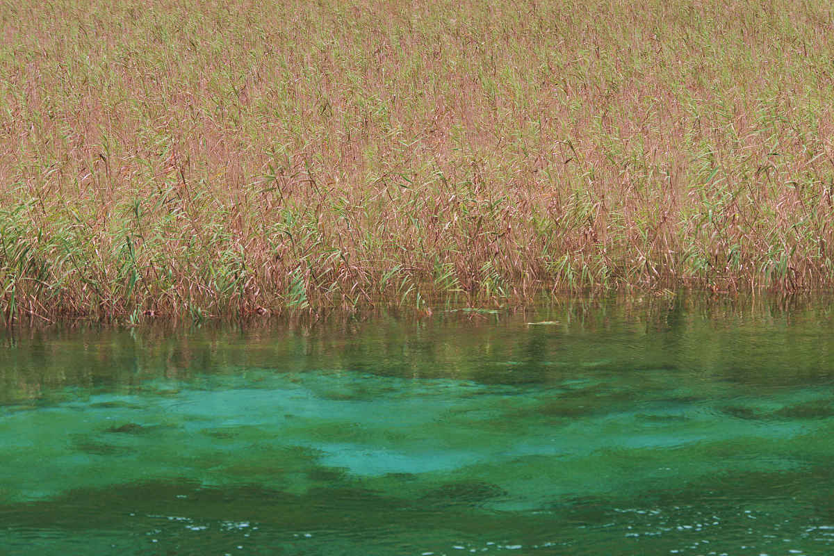 2011年10月01日,四川省阿坝藏族羌族自治州,九寨沟秋色.***_***拍摄时