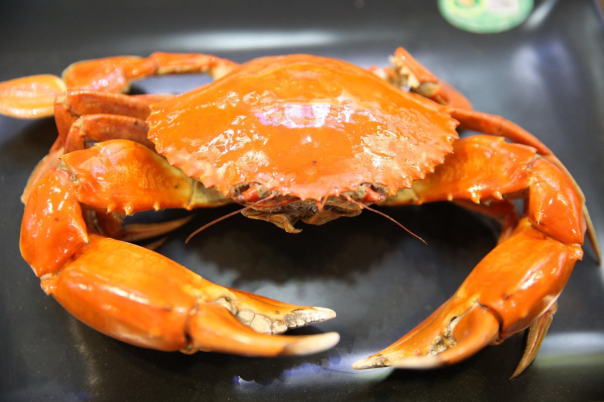 浙江旅游职业学院会展策划与管理专业怎么样？就业前景如何？