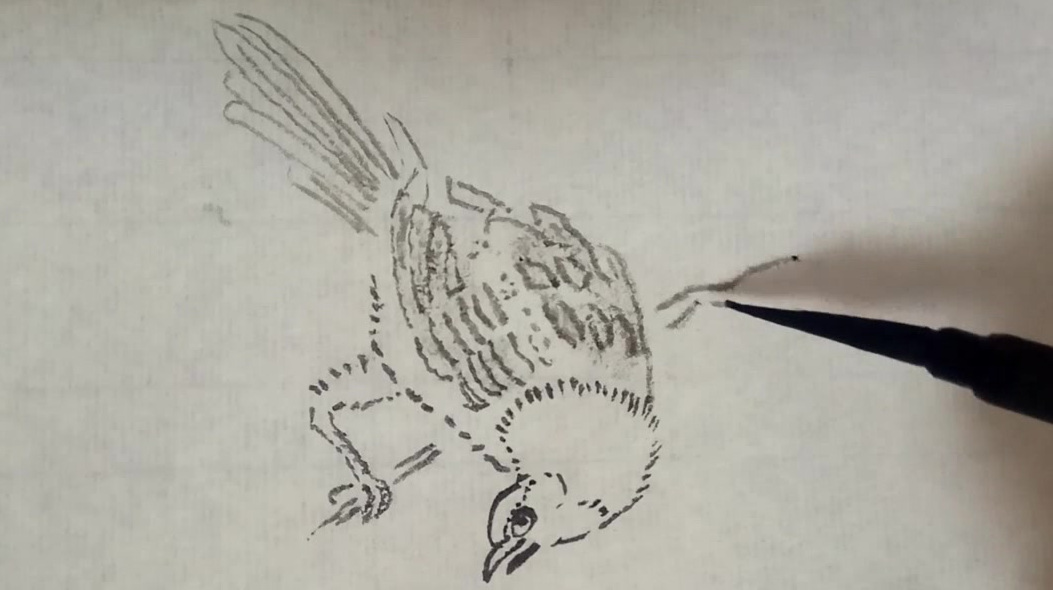 国画白描法画喜鹊,书法运笔